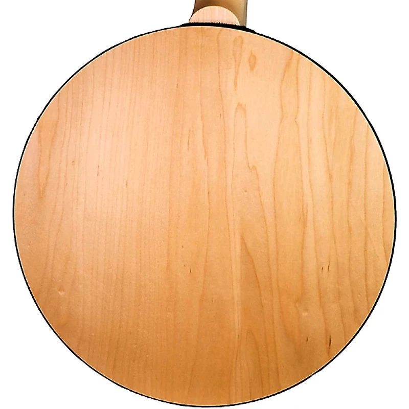 Deering Goodtime Special Resonator Banjo