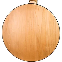 Deering Goodtime Special Resonator Banjo