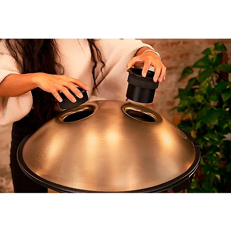 MEINL Sonic Energy D Amara 10 Note Sensory Handpan