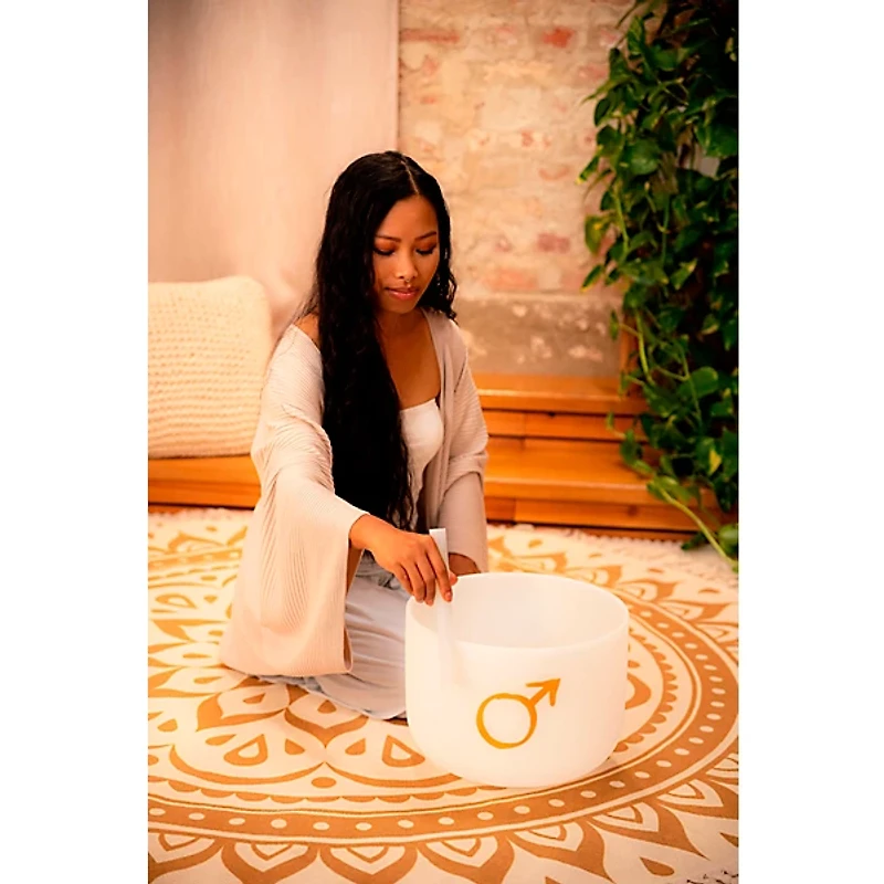 MEINL Sonic Energy Planetary Tuned Crystal Singing Bowl