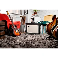 Supro Delegate Custom 1x12 25W Tube Combo Amp