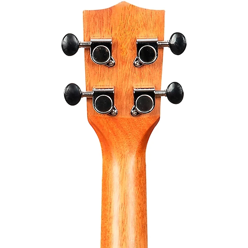 Kala Ziricote Gloss Concert Ukulele