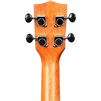 Kala Ziricote Gloss Concert Ukulele
