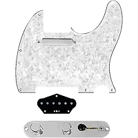 920D Custom Texas Grit Loaded Pickguard for Tele With T4W-REV-C Control Plate
