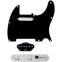 920D Custom Texas Grit Loaded Pickguard for Tele With T4W-REV-C Control Plate