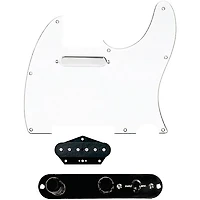 920D Custom Texas Grit Loaded Pickguard for Tele With T4W-REV-B Control Plate