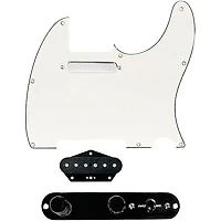 920D Custom Texas Grit Loaded Pickguard for Tele With T4W-REV-B Control Plate