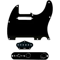 920D Custom Texas Grit Loaded Pickguard for Tele With T4W-B Control Plate