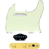 920D Custom Texas Grit Loaded Pickguard for Tele With T4W-REV-G Control Plate