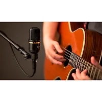 Audix Pair of Audix A231 Large Diaphragm Condenser Microphone