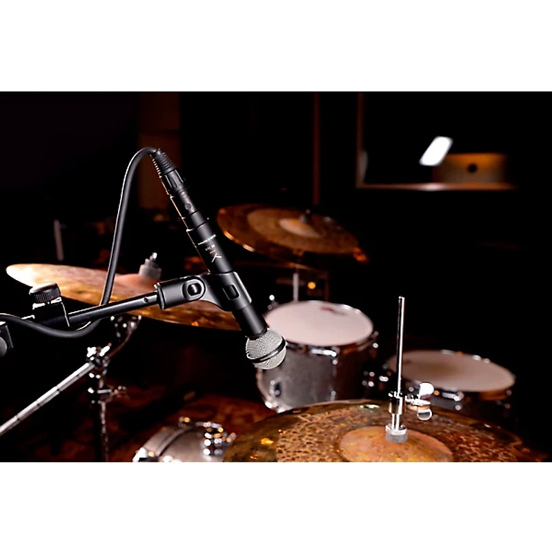 beyerdynamic M 160 Dynamic Hypercardioid Double-Ribbon Microphone