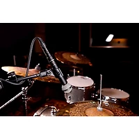 beyerdynamic M 160 Dynamic Hypercardioid Double-Ribbon Microphone
