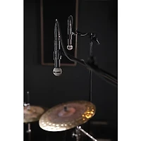 beyerdynamic M 160 Dynamic Hypercardioid Double-Ribbon Microphone