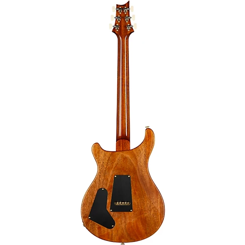 PRS Special Semi-Hollow 10-Top Electric Guitar -