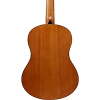 Ibanez GA3OAM Classical Acoustic Guitar Amber