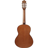 Ibanez GA2OAM 3/4 Size Classical Acoustic Guitar Amber