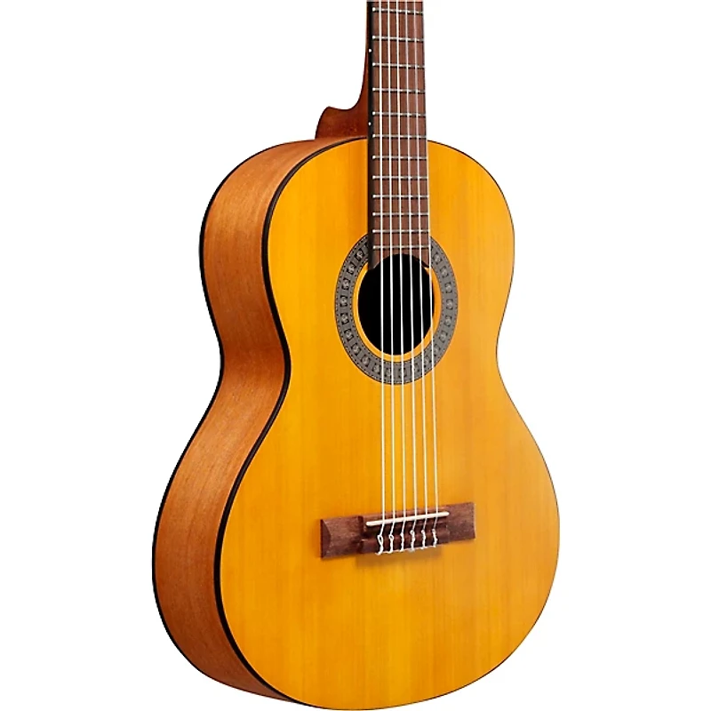 Ibanez GA2OAM 3/4 Size Classical Acoustic Guitar Amber