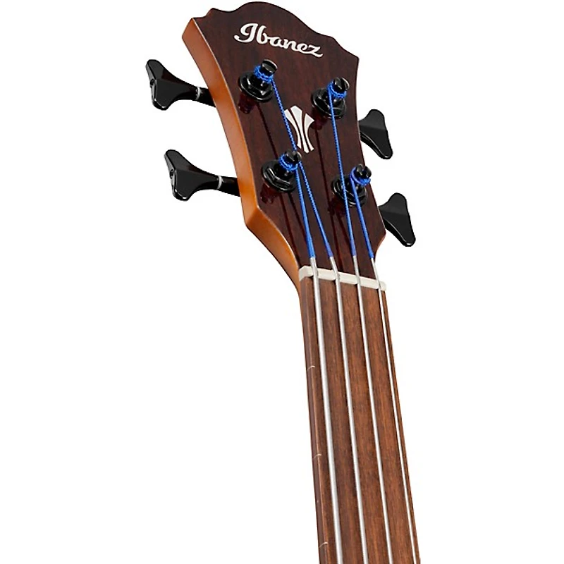 Ibanez AEGB24FE Fretless Auditorium Acoustic-Electric Bass Guitar - Mahogany Sunburst