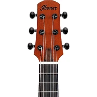 Ibanez AUP10N Nylon 6-String Tenor Acoustic Guitar