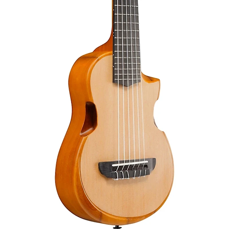 Ibanez AUP10N Nylon 6-String Tenor Acoustic Guitar