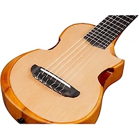Ibanez AUP10N Nylon 6-String Tenor Acoustic Guitar