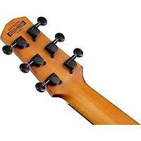 Ibanez AUP10N Nylon 6-String Tenor Acoustic Guitar