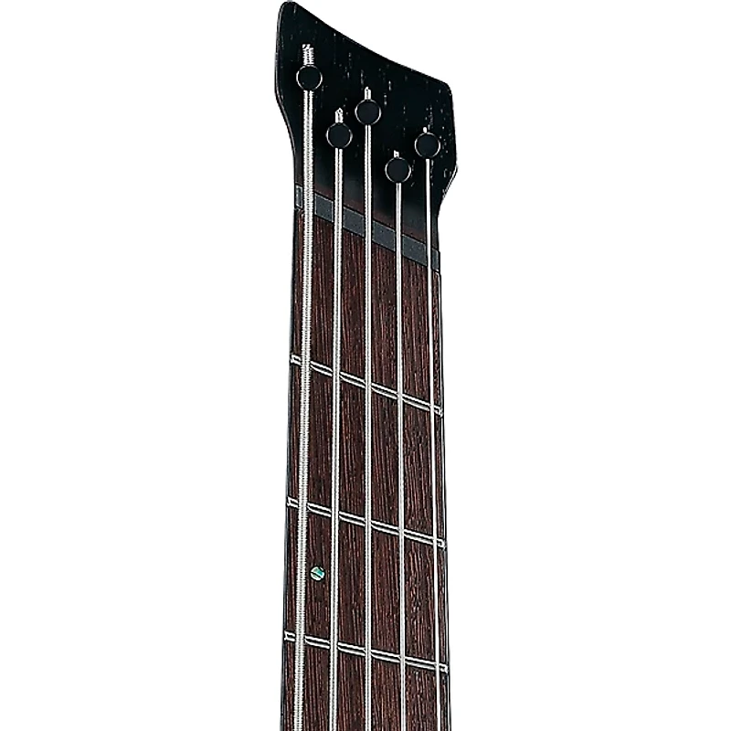 Ibanez EHB1505SMS 5-String Multi-Scale Ergonomic Headless Bass Guitar Florid Natural Low Gloss