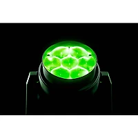 American DJ Focus Flex L7 280 W 4-in-1 RGBL LED Light Black