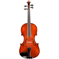 Eastman Andreas Eastman VA305 Series+ Viola Outfit With Case and Bow