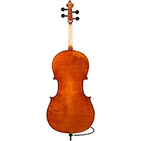 Eastman Andreas Eastman VC405 Series+ Cello with Case and Bow 4/4