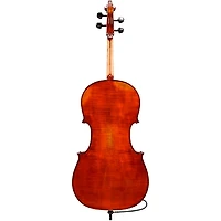 Eastman Albert Nebel VC601 Series+ Cello Outfit with Case and Bow 4/4
