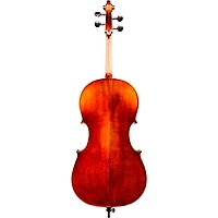 Eastman Andreas Eastman VC305 Series+ Cello Outfit With Case and Bow 4/4