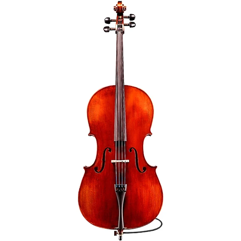 Eastman Samuel Eastman VC145 Series+ Cello Outfit With Case and Bow 4/4