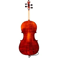 Eastman Samuel Eastman VC145 Series+ Cello Outfit With Case and Bow 4/4