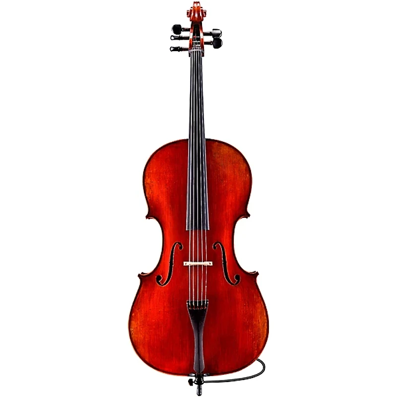 Eastman Rudoulf Doetsch VC7015 Series+ 5-String Cello with Case and Bag 4/4