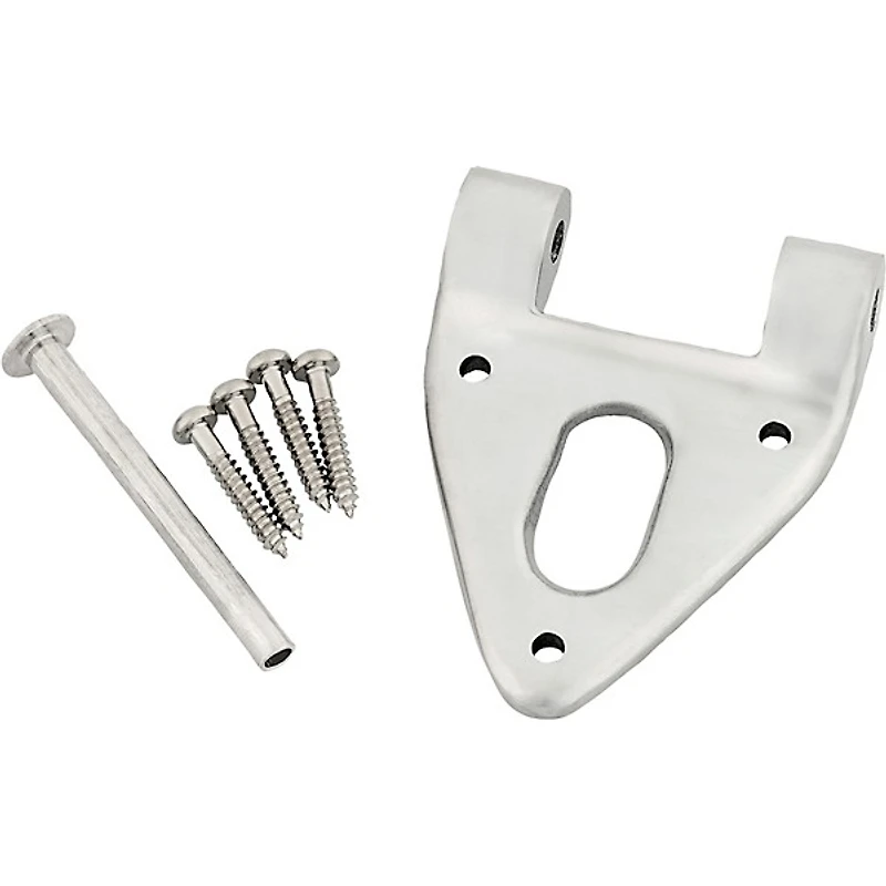 Bigsby B6 Conventional Hinge with Pin and Screws