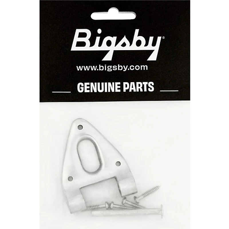 Bigsby B6 Conventional Hinge with Pin and Screws