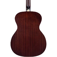 D'Angelico Premier Tammany Acoustic-Electric Guitar