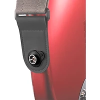 D'Addario Flex Lock Strap Blocks