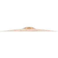 MEINL Pure Alloy Extra Hammered Crash Cymbal