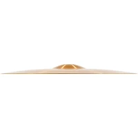 MEINL Pure Alloy Thin Ride