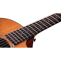 Taylor 254ce Plus Grand Auditorium 12-String Acoustic-Electric Guitar Natural