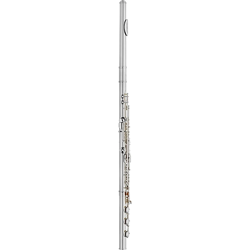 Giardinelli Giardinelli by Haynes GFL5G Open Hole, Low B, Sterling Silver Head joint Performance Level Flute Offset G B-Foot
