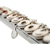 Giardinelli Giardinelli by Haynes GFL5G Open Hole, Low B, Sterling Silver Head joint Performance Level Flute Offset G B-Foot