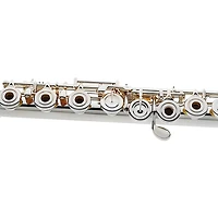 Giardinelli Giardinelli by Haynes GFL5G Open Hole, Low B, Sterling Silver Head joint Performance Level Flute Offset G B-Foot
