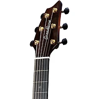 Breedlove Premier Adirondack Spruce-Brazilian Rosewood Limited Edition Cutaway Companion Acoustic-Electric Guitar Triple Burst
