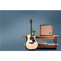 Circa 74 AV150-10 Acoustic Guitar and Vocal Amplifier With Amp Stand Mahogany