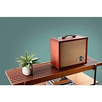 Circa 74 AV150-10 Acoustic Guitar and Vocal Amplifier With Amp Stand Mahogany