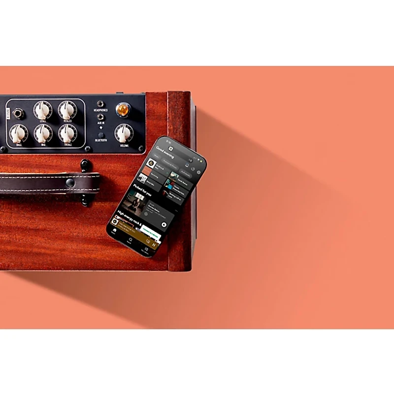 Circa 74 AV150-10 Acoustic Guitar and Vocal Amplifier With Amp Stand Mahogany