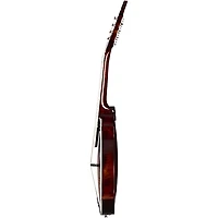 Epiphone F-5G F-Style Mandolin Cremona Sunburst